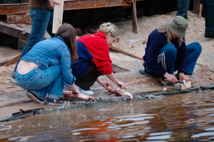 volontery_o_belov_2006_0053