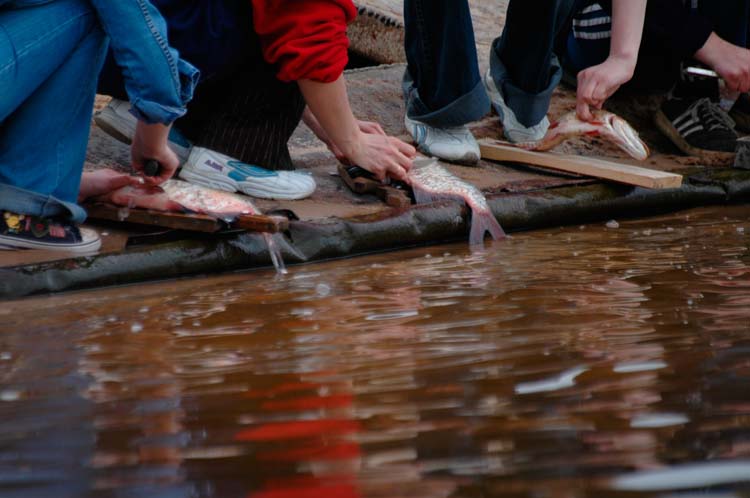 volontery_o_belov_2006_0055