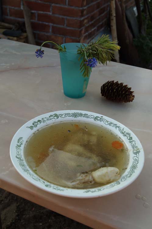 volontery_o_belov_2007_0003