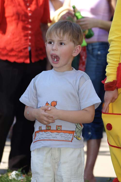 den_goroda_pskov_prazdnik_vosd_sharov_0001